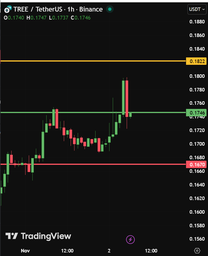SmartCryptoSig's tweet image. توصية جديدة .. توكلنا على الله

اسم العمله : TREE/USDT

الدخول : شراء من الخط الاخضر السعر الحالى  0.1746

🎯 الهدف : الخط باللون الذهبى السعر   0.1822

الاستوب : الخط الاحمر السعر   0.1670

🥇 💰 اشترك فى قناتى تليجرام مجانا للحصول على فرص اكثر بكثير فور نزولها…