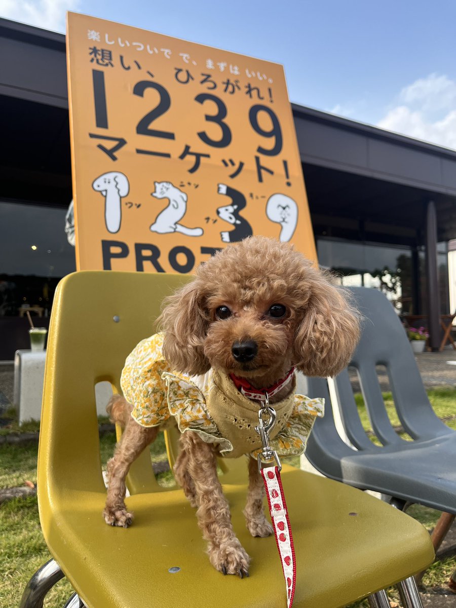 fumiページ ふみ on X