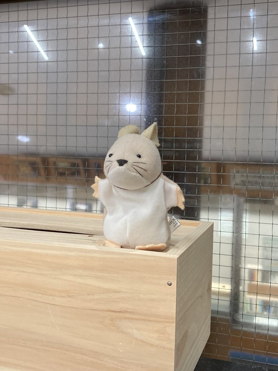 世界に1枚】Champion ラブピカルポッピー タマちゃん Amazon.co.jp