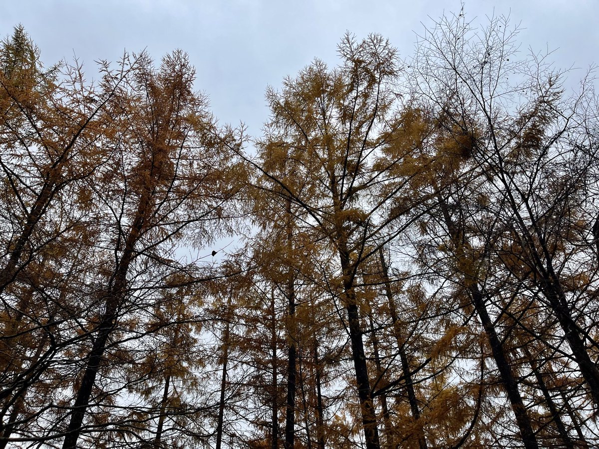 秋映ページ♡ The untamed boys as Nail polish💅🏻「part2」 #Ad_suibian