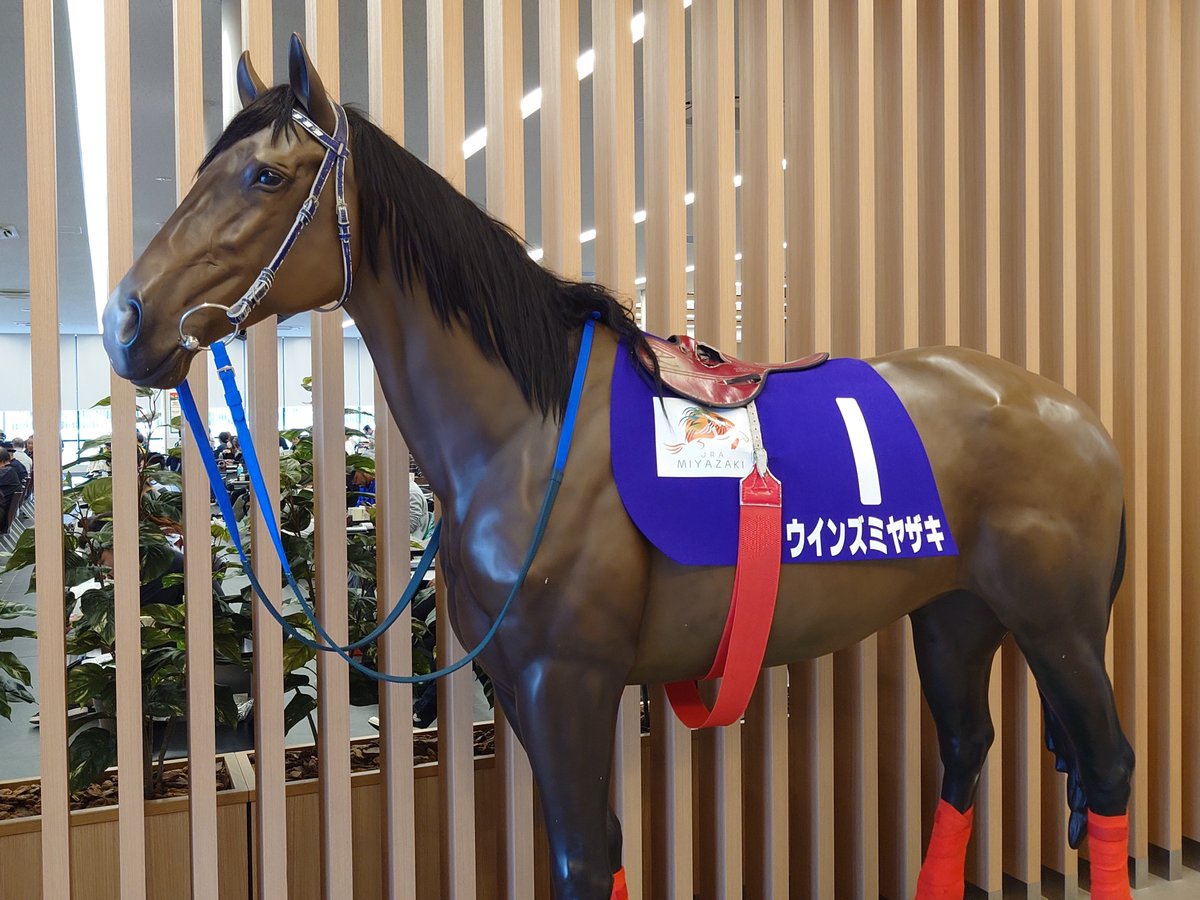 みょんみょん (@washou3956) / Posts / X