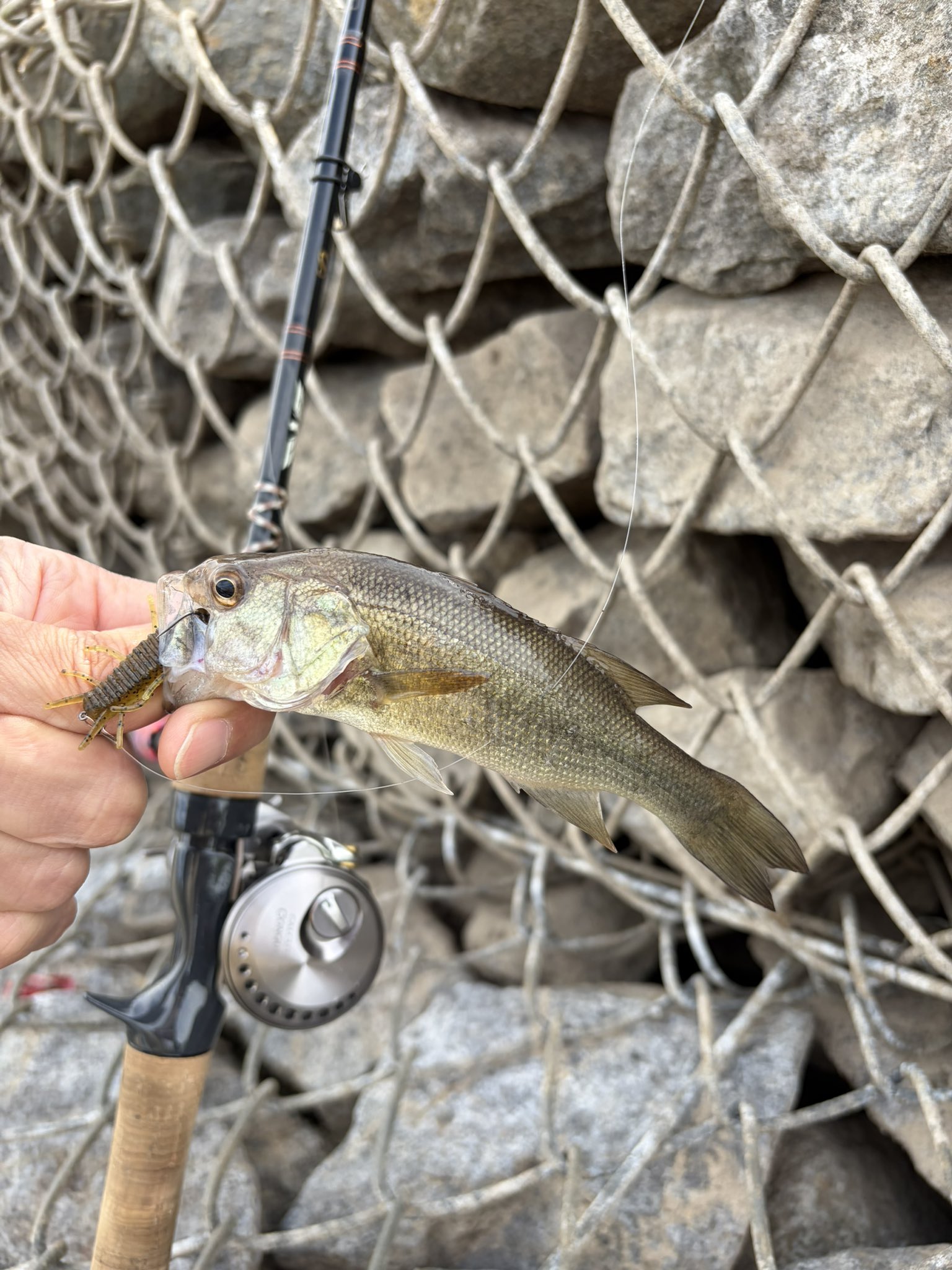 バス釣り - Search / X