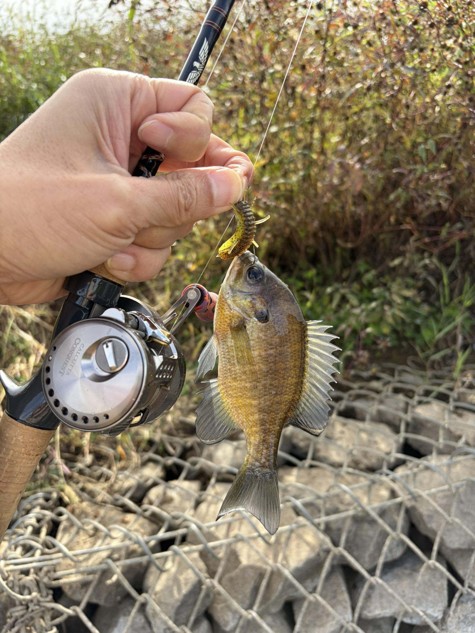 バス釣り - Search / X