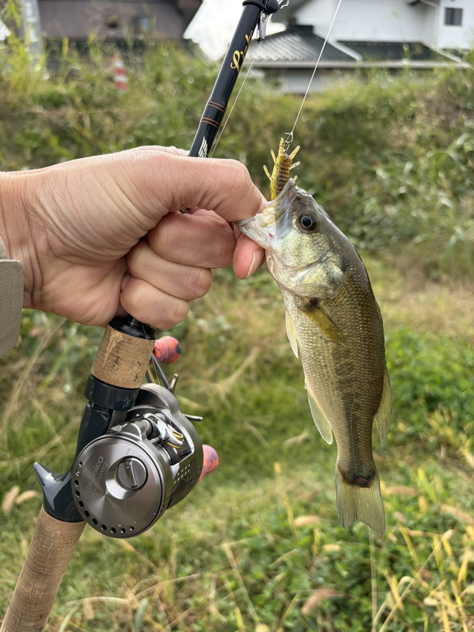 バス釣り - Search / X