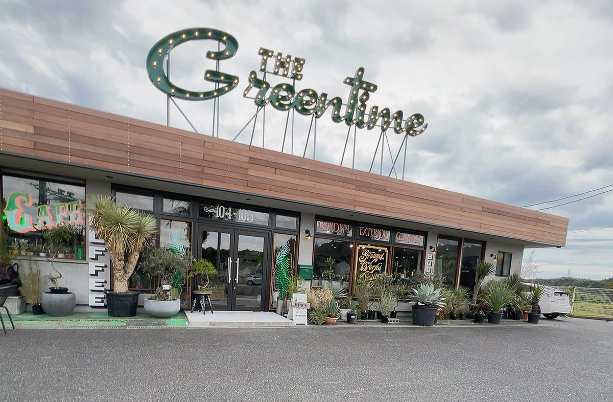 ガジュマル買いました。