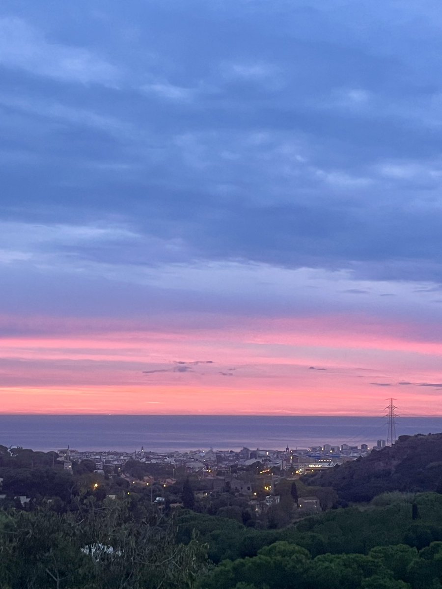 on_scouting's tweet photo. Amanece en #CanTrons #Badalona https://t.co/Wt7jJYPh7w