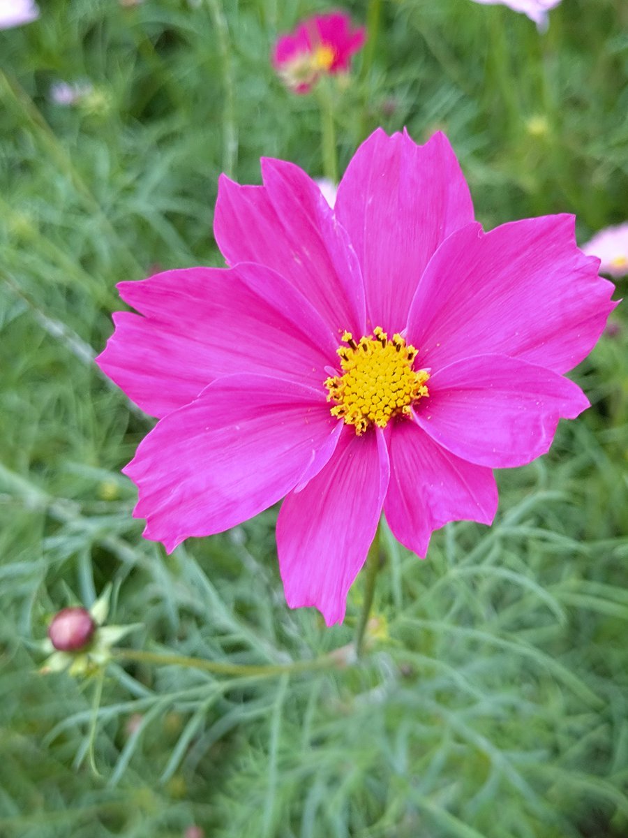 木花 きー坊 on X