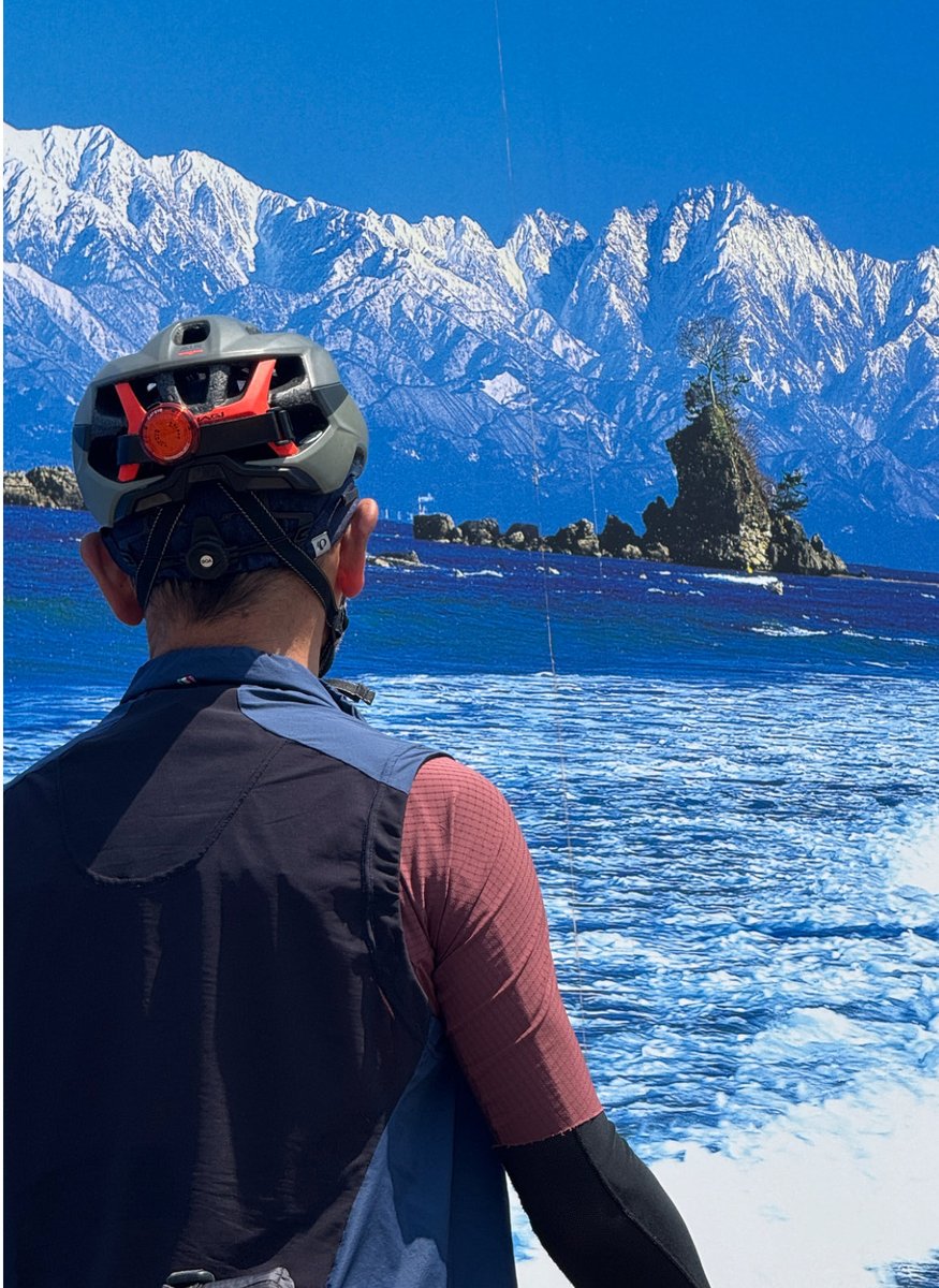 オーダーで製作させて頂きました デモ用超豪華オーストリッチ