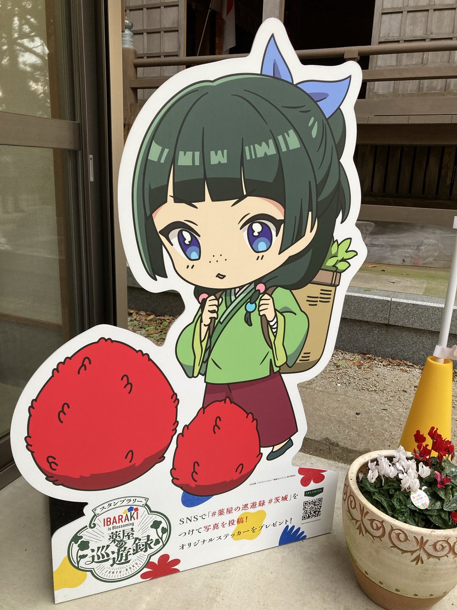 ＃薬屋の巡遊録 ＃茨城