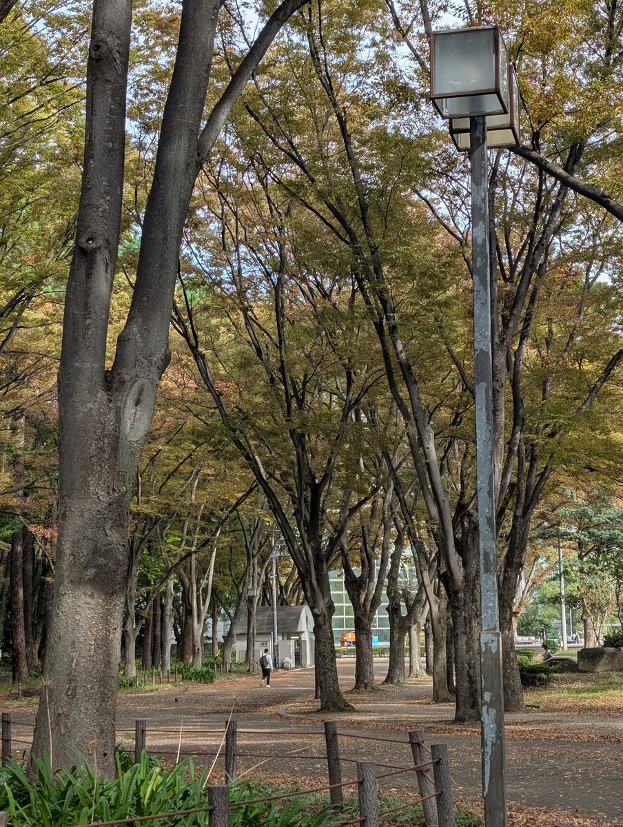 レア❗️空から見た名古屋市 lime@みちのく恋しや。 on X