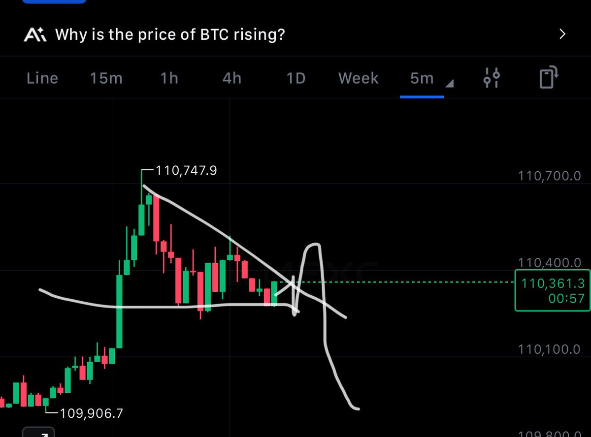 NellyTradez tweet media