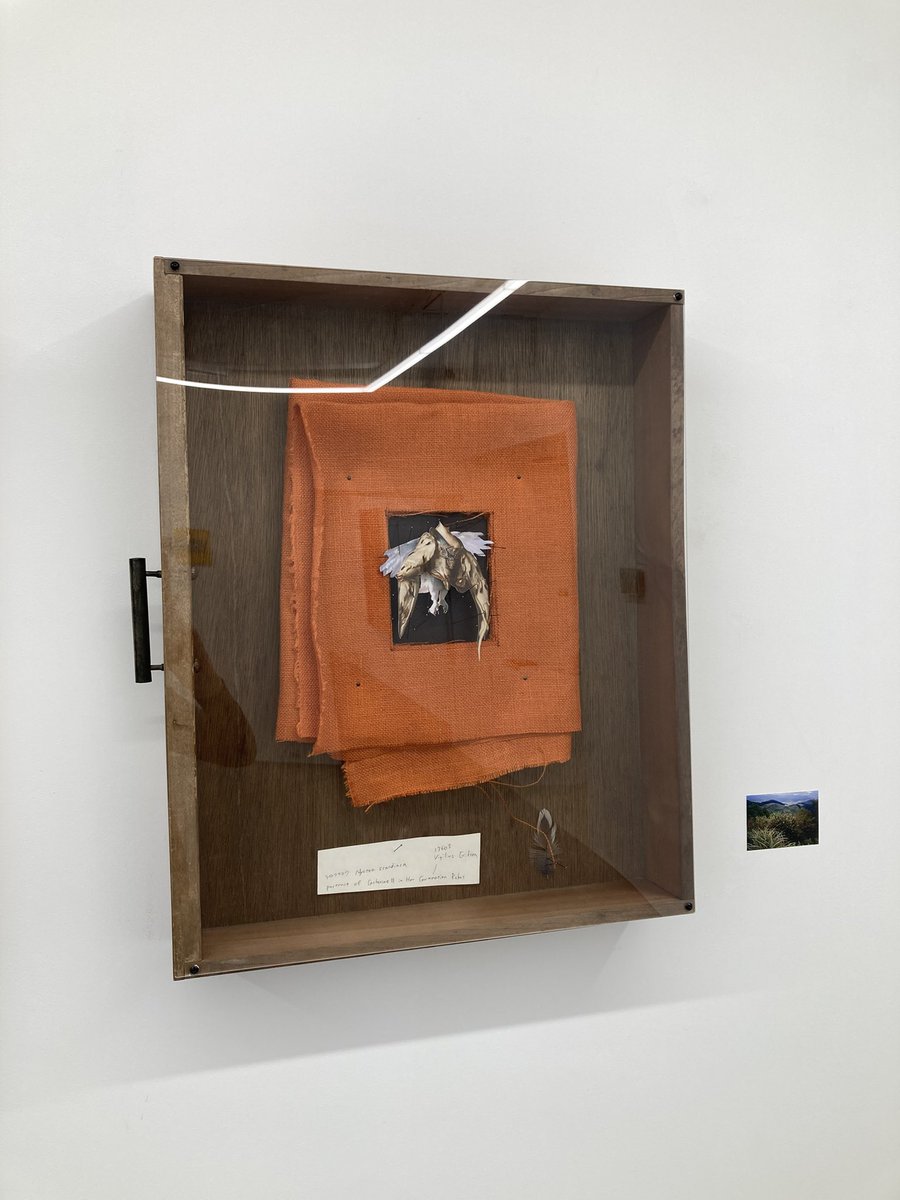 糸蜻蛉 (@itotonbo01) / Posts / X