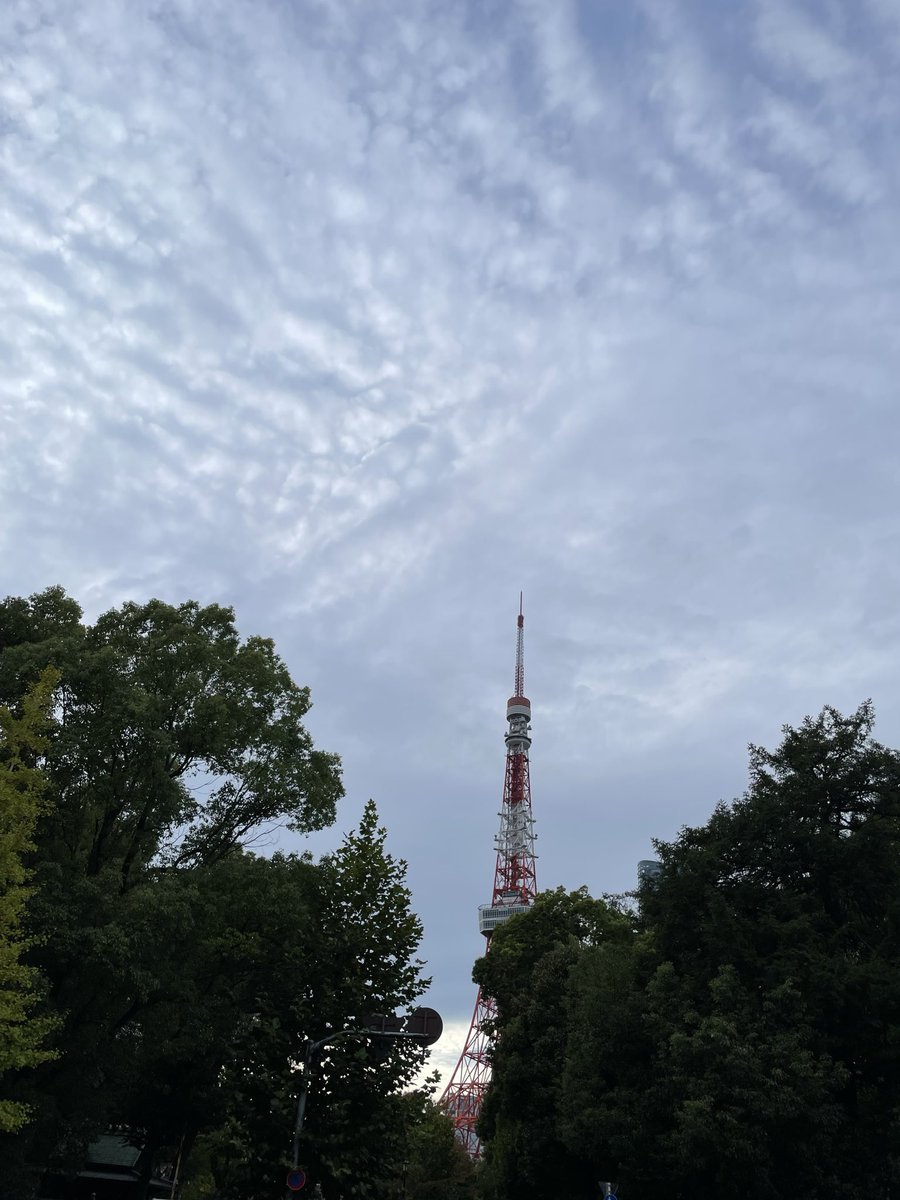 aks_cry's tweet photo. 山に行けないので
街で過ごしています https://t.co/wu9KqHkhFB