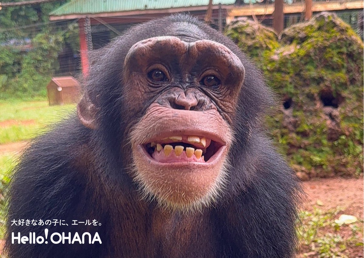 Ohanaです！ ホーソンレイン ロー オルト(23 Khaki II)│コロンビア(Columbia