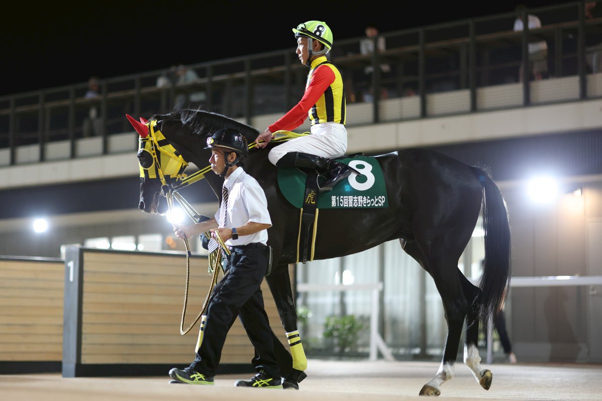 船橋ケイバ on X