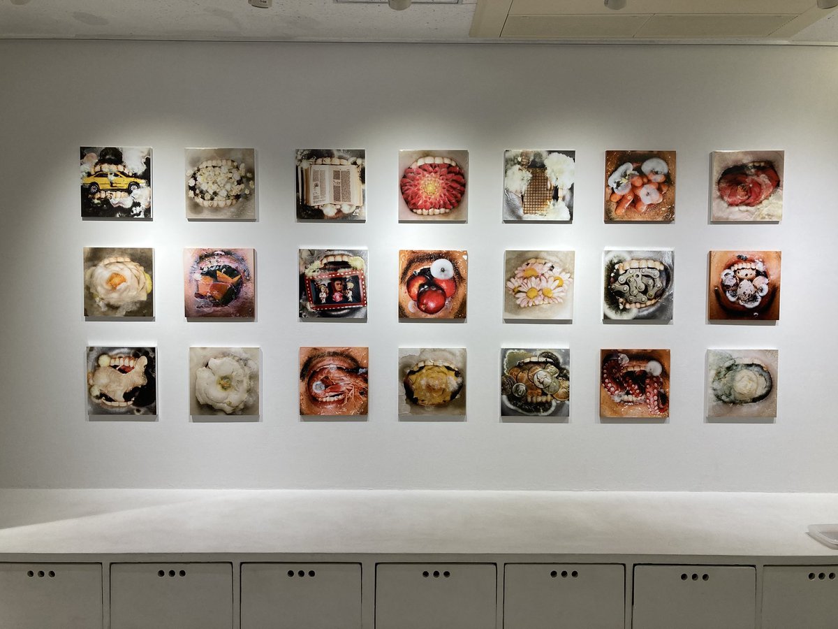 新宿眼科画廊
青木大祐写真展
「MERISIS」
2025/11/5まで

異端の画家カラヴァッジョの作品をモチーフにした新作と過去作。モチーフの（撮影した・本物ではない）カビもたっぷり。過去最大の個展、ユニークで華やかな写真展でした。