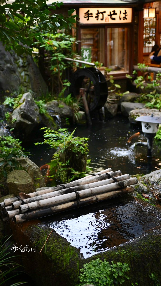 #今日のおでかけ🍁
🎌三連休中日は、朝から花活の⛲️神代植物公園へ🚎³₃。ﾊﾞﾗ🌹ﾌｪｽﾃｨﾊﾞﾙの最中で来場者が多くて、なんだか嬉しかった(๑'ᵕ'๑)💜。その後は深大寺で紅葉狩り🍁。そこまで色づいてはなかったけど、満足できました🎵。明日はどこいこっかなー
(*˘︶˘*).。.:*✨
#花活 #深大寺