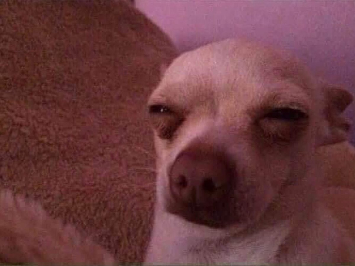 zedcreator's tweet image. using dark mode so much that i became almost blind when i see a white screen