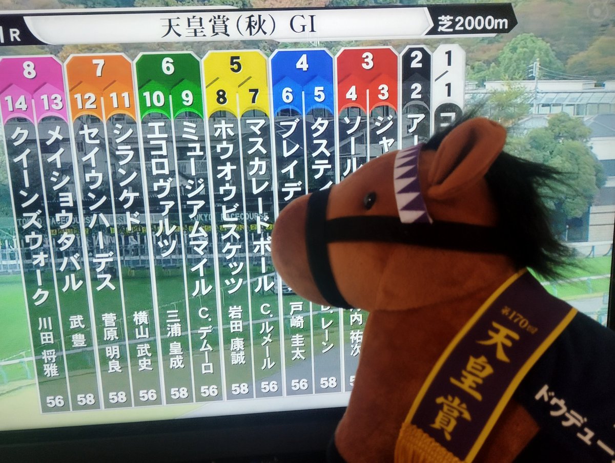 ミッチーページ モッチー on X