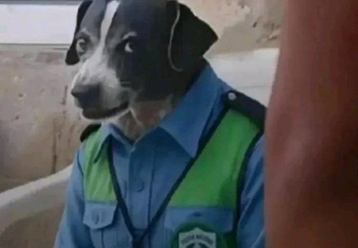 I left church not God is cuddling a sugar daddy this early morning