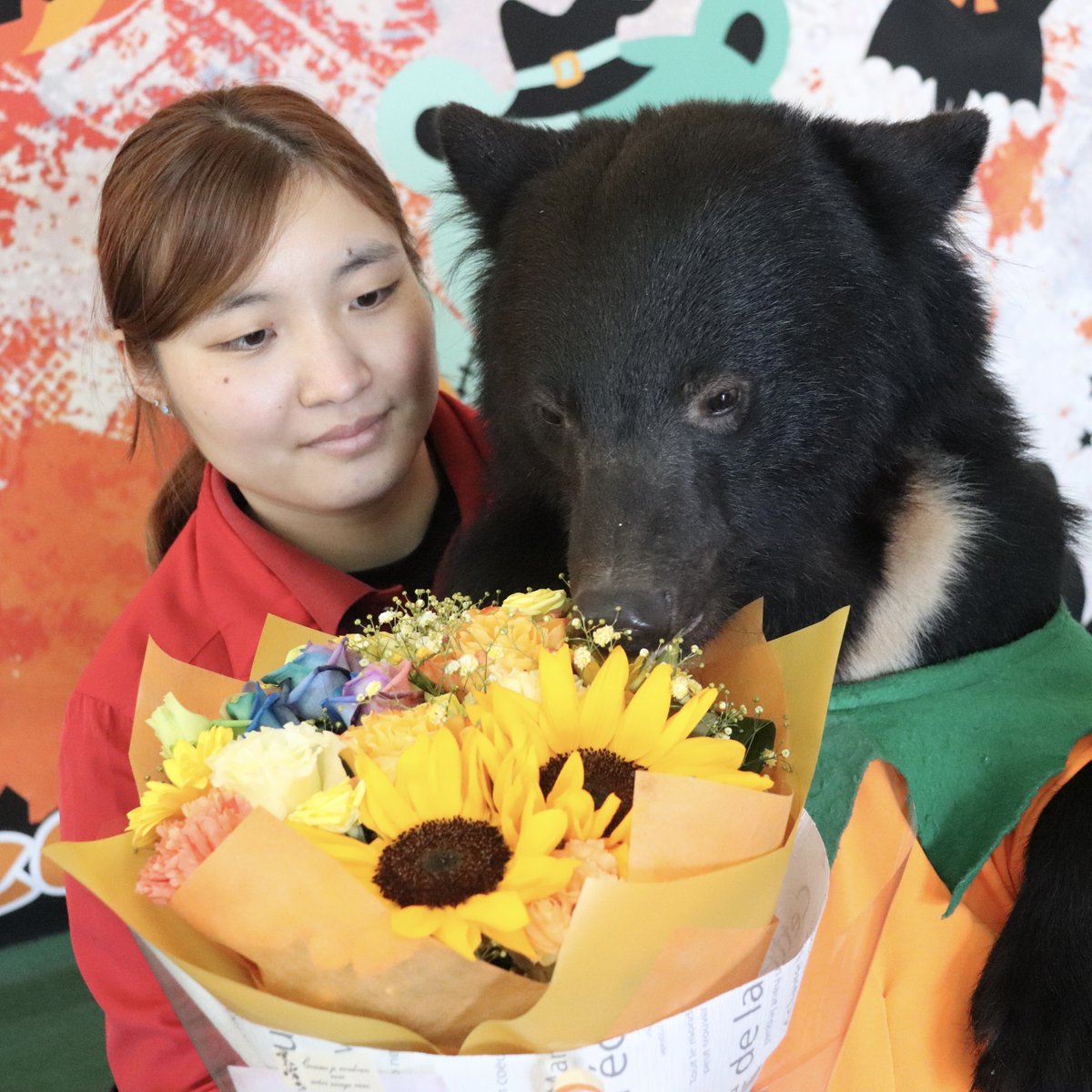 コストコのツキノワグマ ツキノワグマ