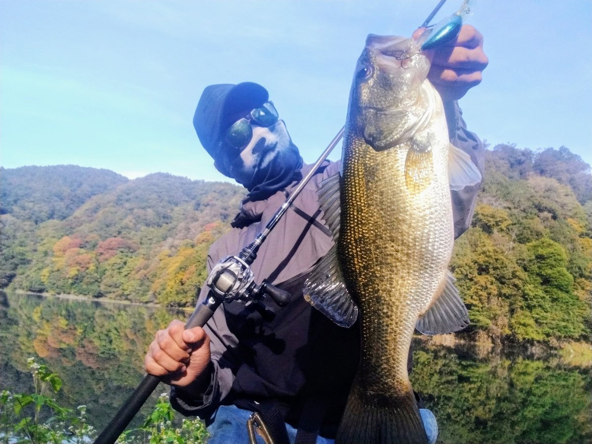 🐼バス釣り名人🐼 (@goGx43gLxP6Q7uk) / Posts / X