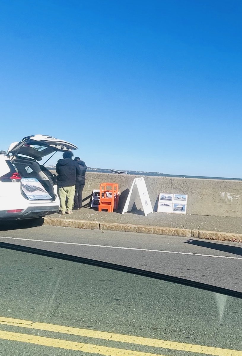 And how do we NOT know #seals hanging @ beach in #Revere  
Group sets up for #SealWatching 🦭#Boston 🦭 
Now makes sense all traffic driving home 🦭🤍  
This is a MUST #Seal 🦭✌️