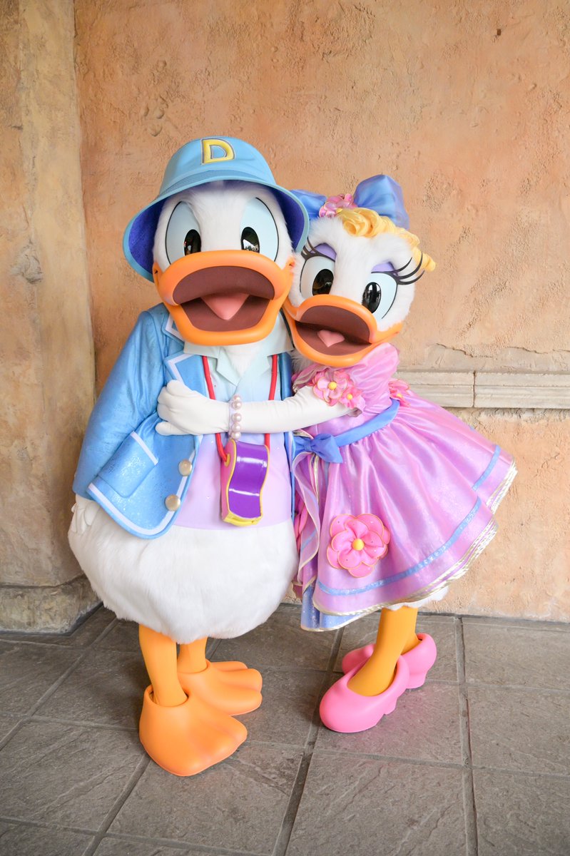 ⓣⓞⓜⓞⓩⓞ🧸🎀 (@S_kumachan_122) / Posts / X