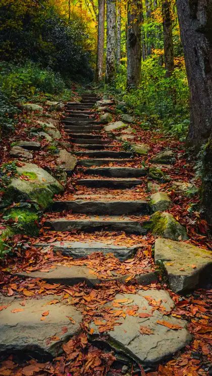 AungNaingSolim's tweet image. Every step tells a story.
Sometimes the path may seem rough, covered with fallen leaves and silent moments  but each step takes you closer to where you’re meant to be. 

Keep walking, keep believing, and enjoy the beauty of the journey. 
#NaturePath #PeacefulJourney #FallVibes