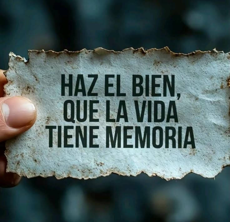 Escuela de Vida (@escueladevida21) on Twitter photo 