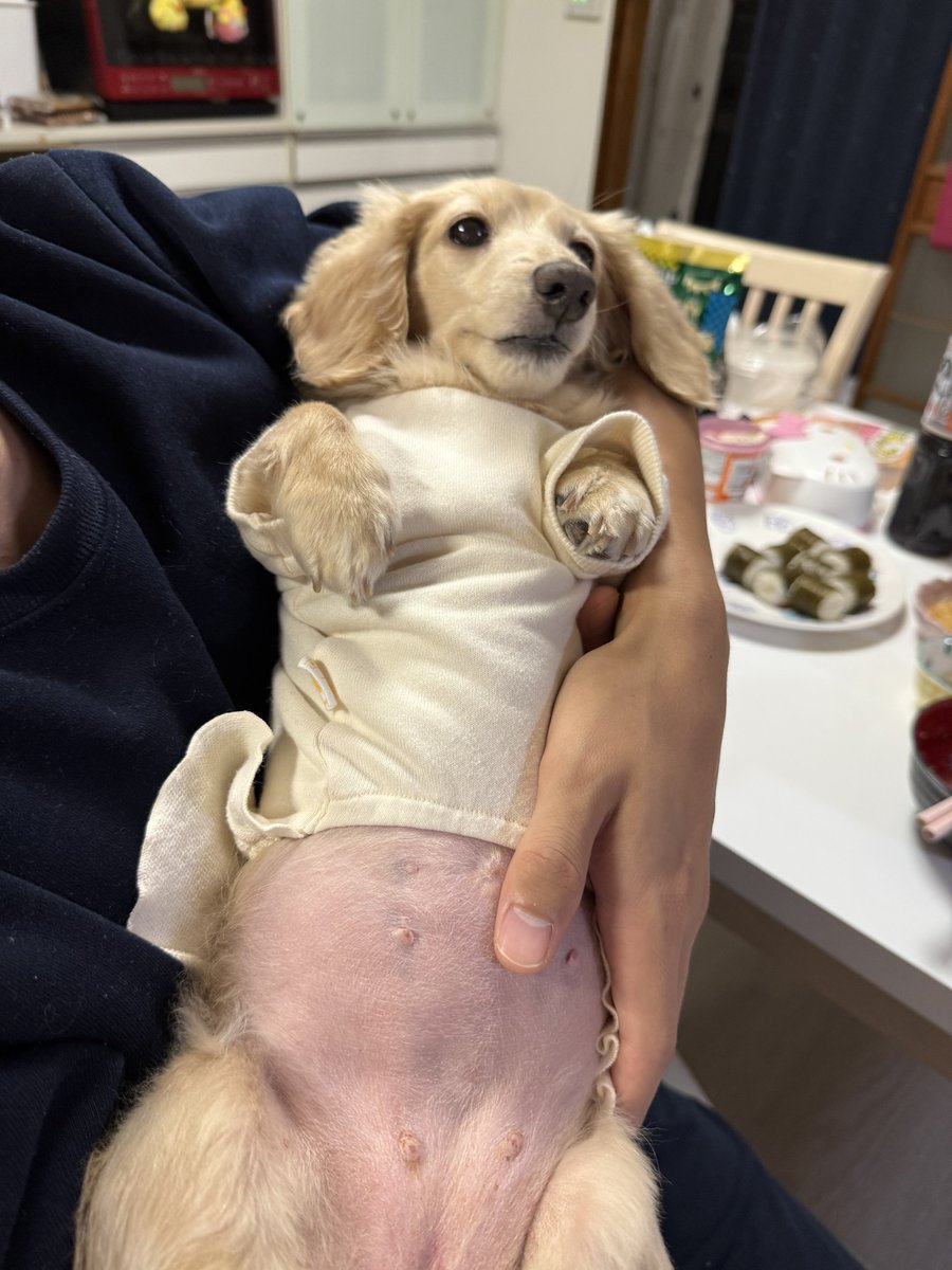 ひよこ様 ぬいぐるみ(メキシカン) ひよこ – LINE FRIENDS SQUARE JAPAN