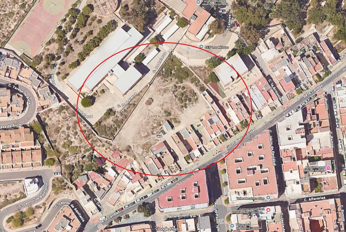 🫜 El Ayuntamiento de Almería impulsa un nuevo huerto urbano junto al CEIP Los Millares para revitalizar el barrio de la Plaza de Toros.