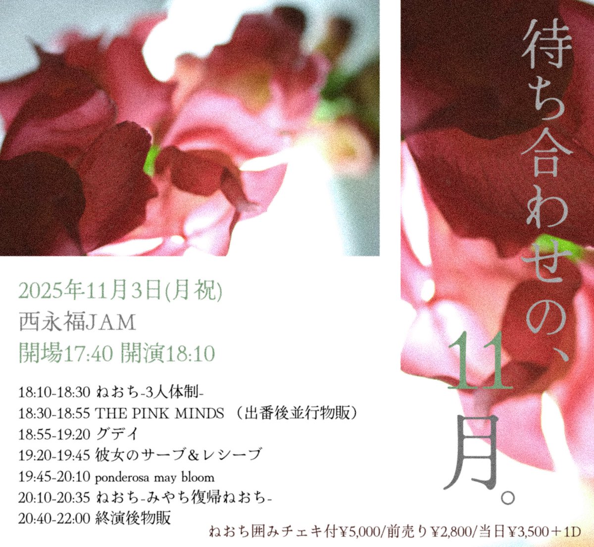 彼女のサーブ&レシーブ (カノサレ)のインフォ🎾3rdアルバム