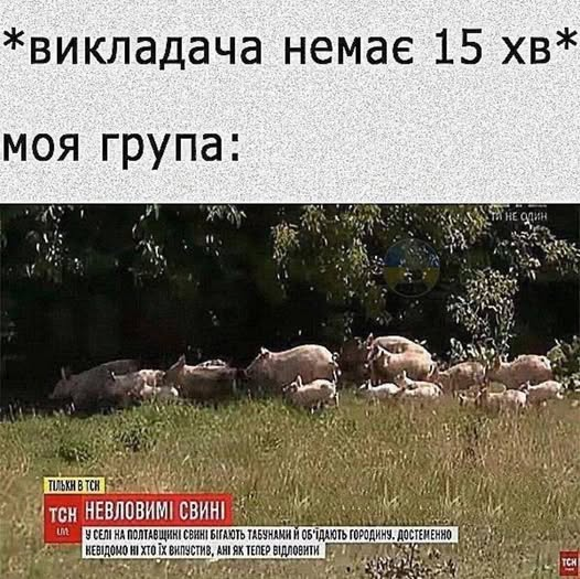 badkittyua's tweet photo. Старі, добрі студентські часи... 😋 https://t.co/MVBLNZRDBJ