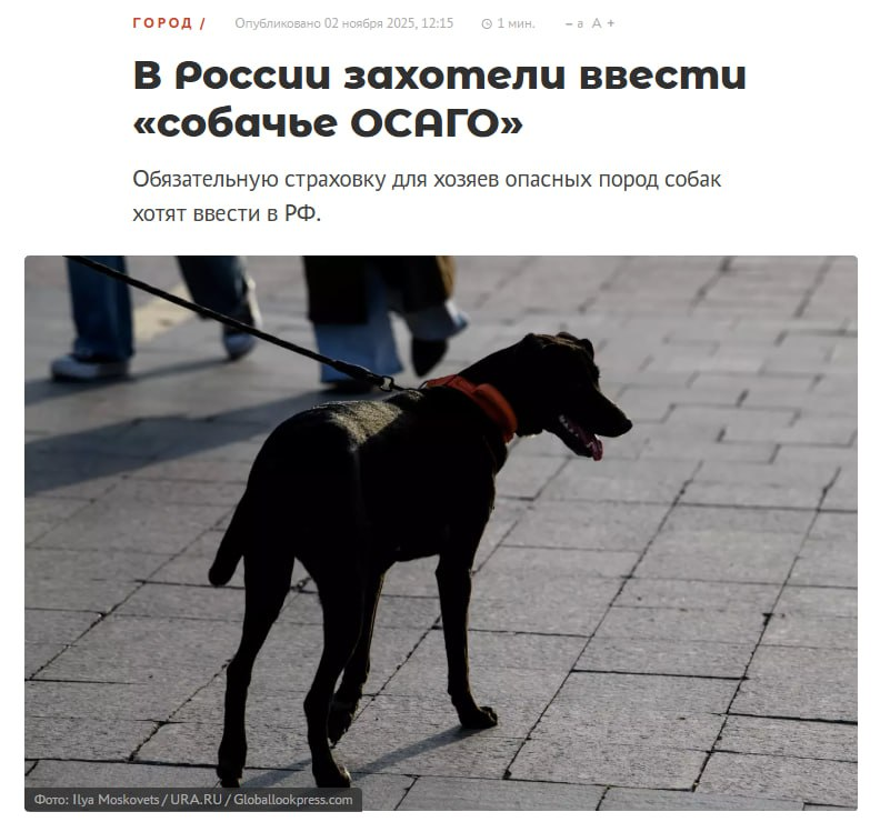 Чудесная инициатива