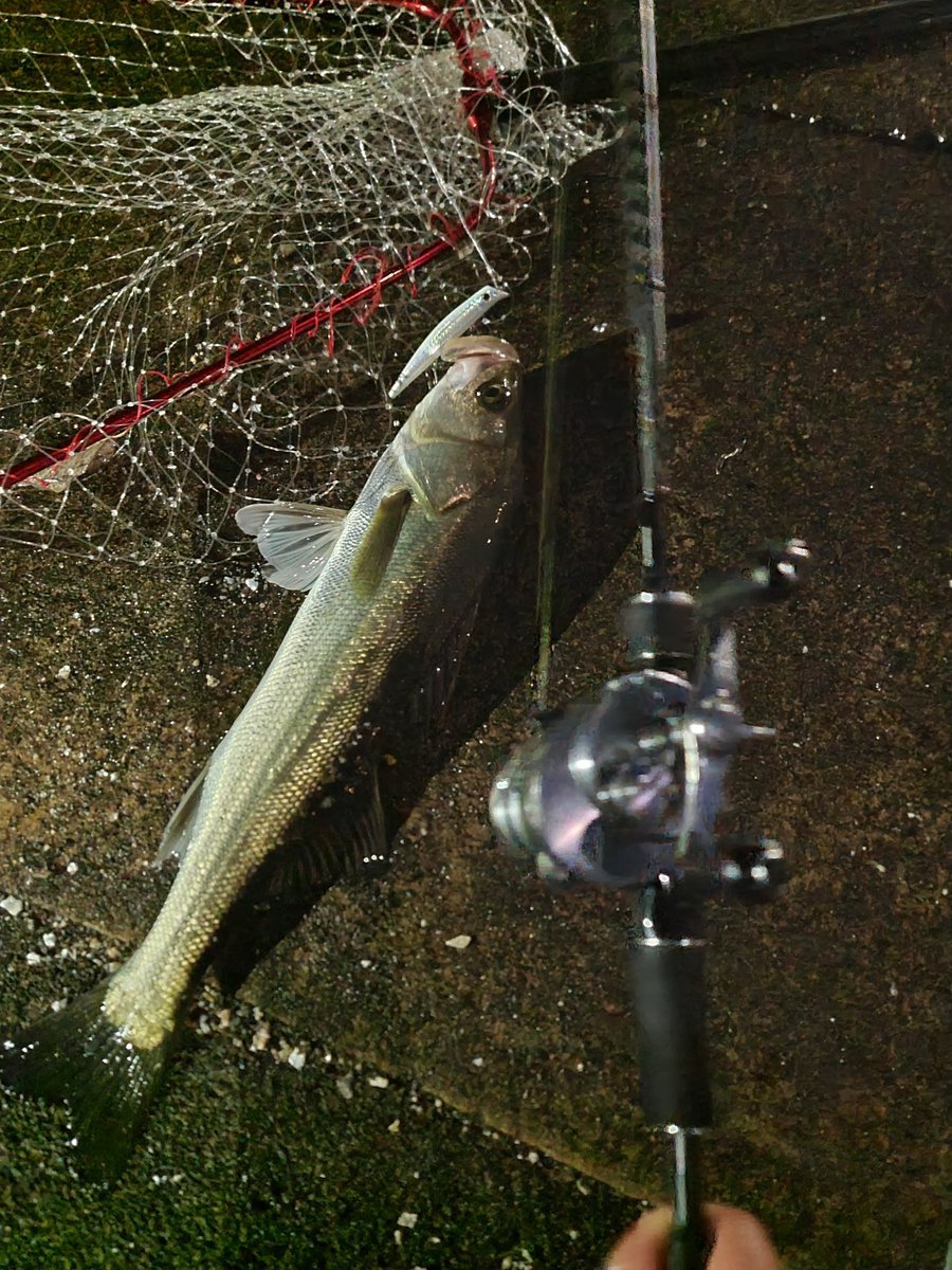 Hiroりんです。 HIRO様 HIRO様 HIRO様 ヒロ様 GLITCH TOKYO | SUPER73 ZX GLITCH TOKYO