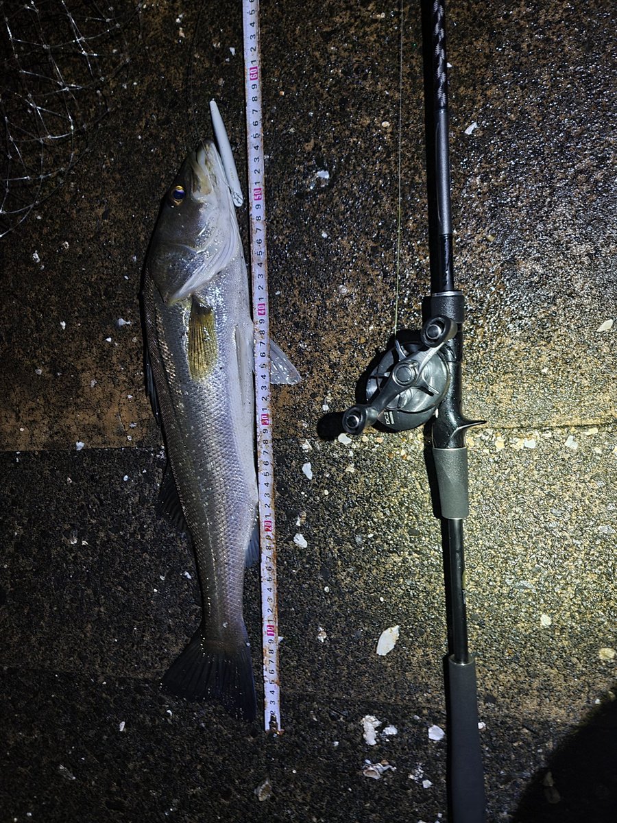 ひろ兄@wheeeの悪魔 (@hiro_jzx90) / Posts / X