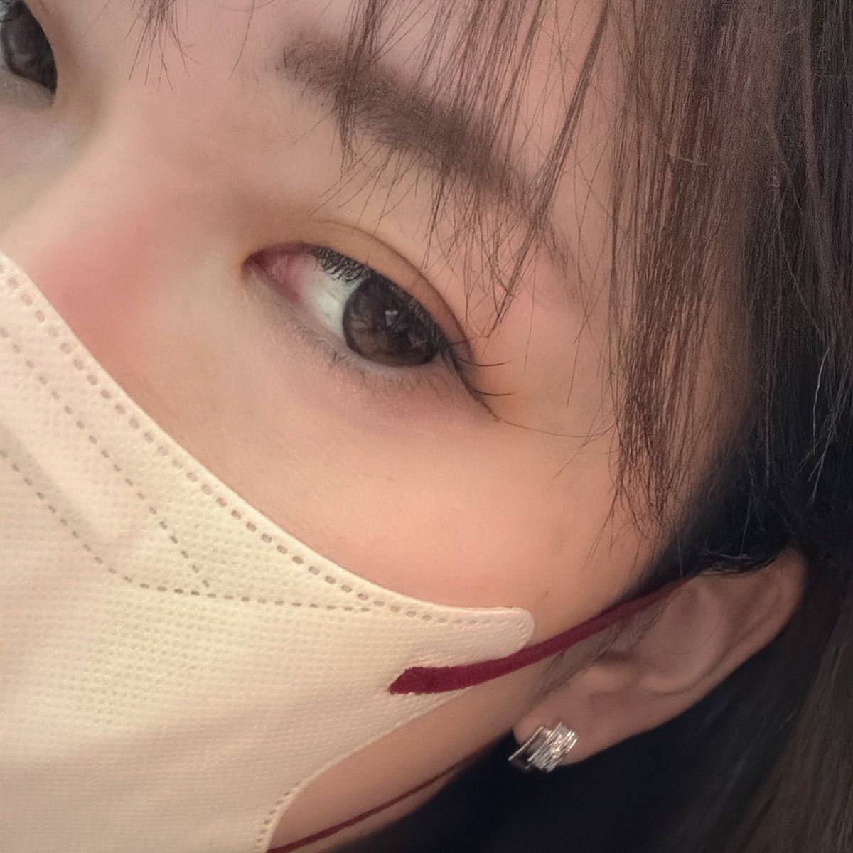 にゃんころげ (@nyankoroge55) / Posts / X