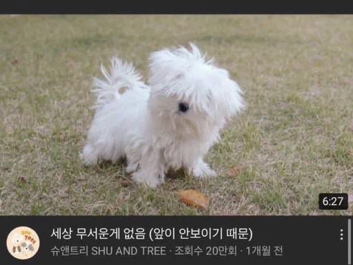 전투원🕯 (@combatant_iny) on Twitter photo 