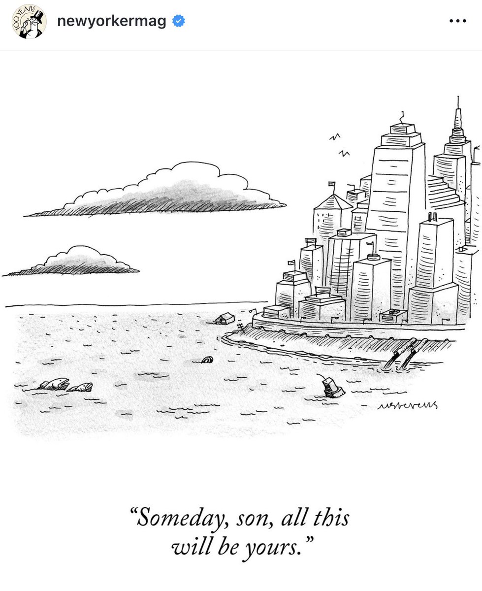 wim boevink🐦‍⬛ (@wimboevink) on Twitter photo 