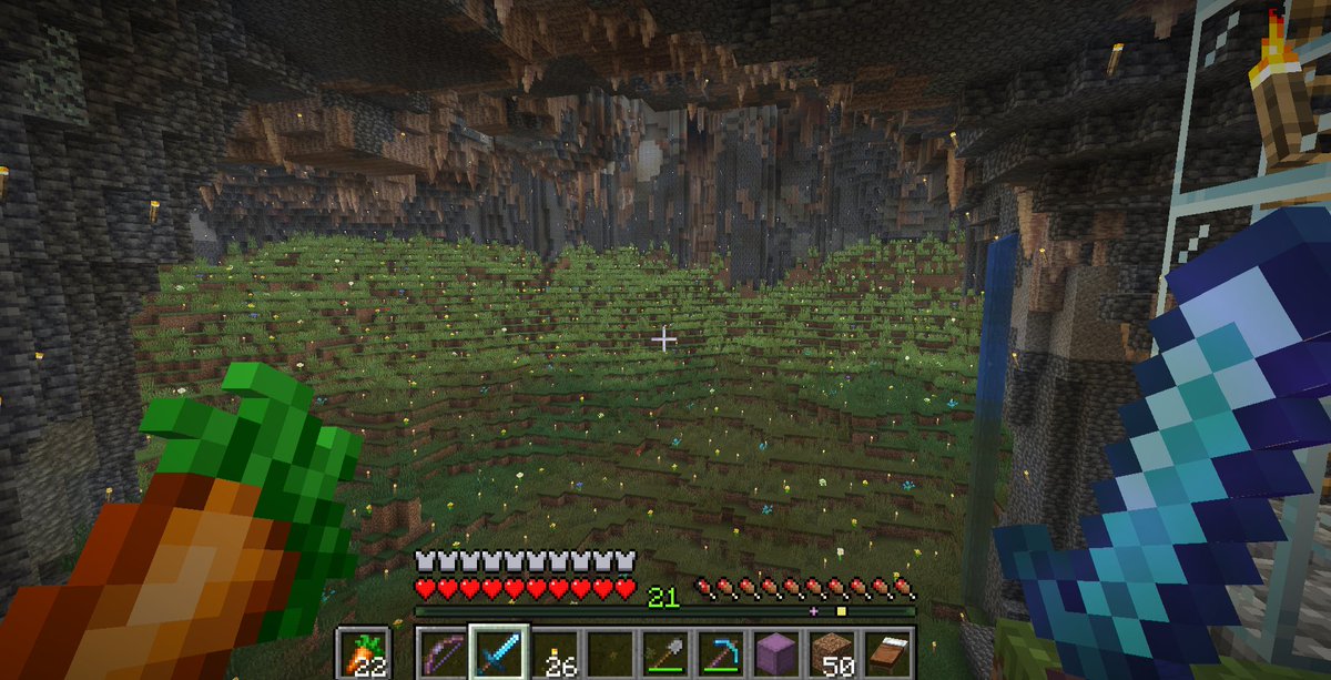 Goodbye, Carrot Kingdom...

(画像はありませんが、最初は鍾乳石やその柱も生えており、最終的には大きなにんじんを羊毛で生やしました)

#ゆくねむ鯖