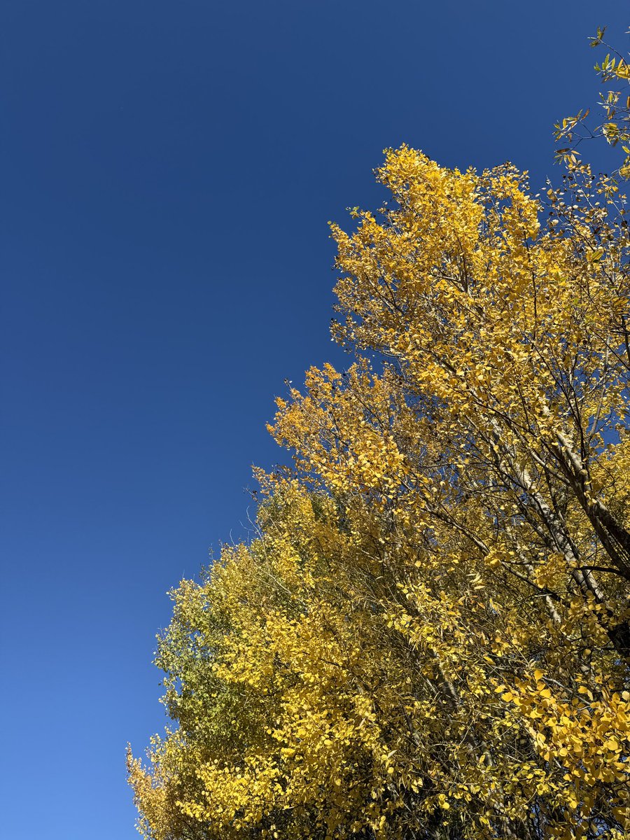 Look at those colours!