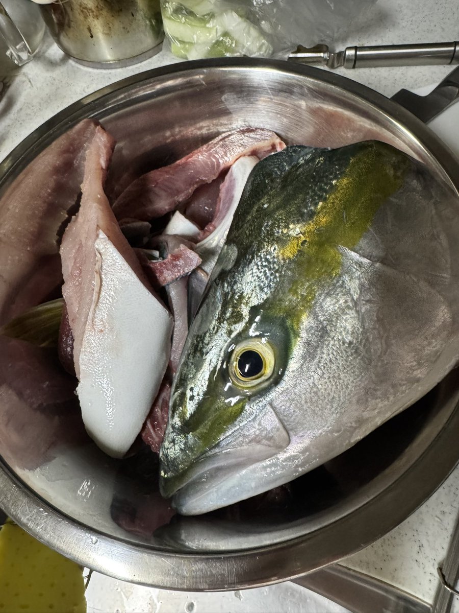 鰤しゃぶ🎶
アラは煮てワンズのおやつ！