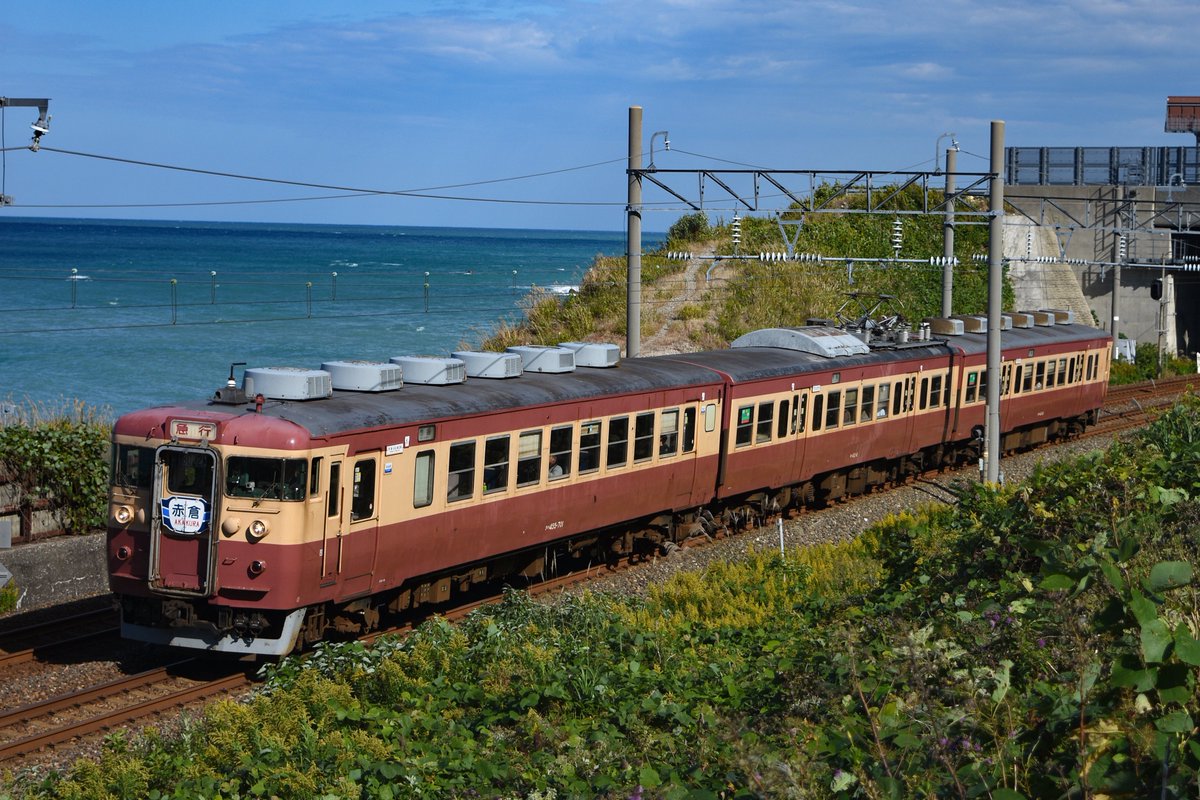 赤富士 赤富士 赤富士 赤富士 2001 Kawasaki ZX-11 | Bike-urious