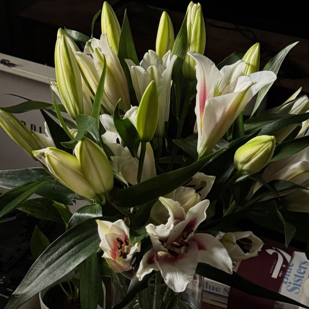 1leio's tweet image. 