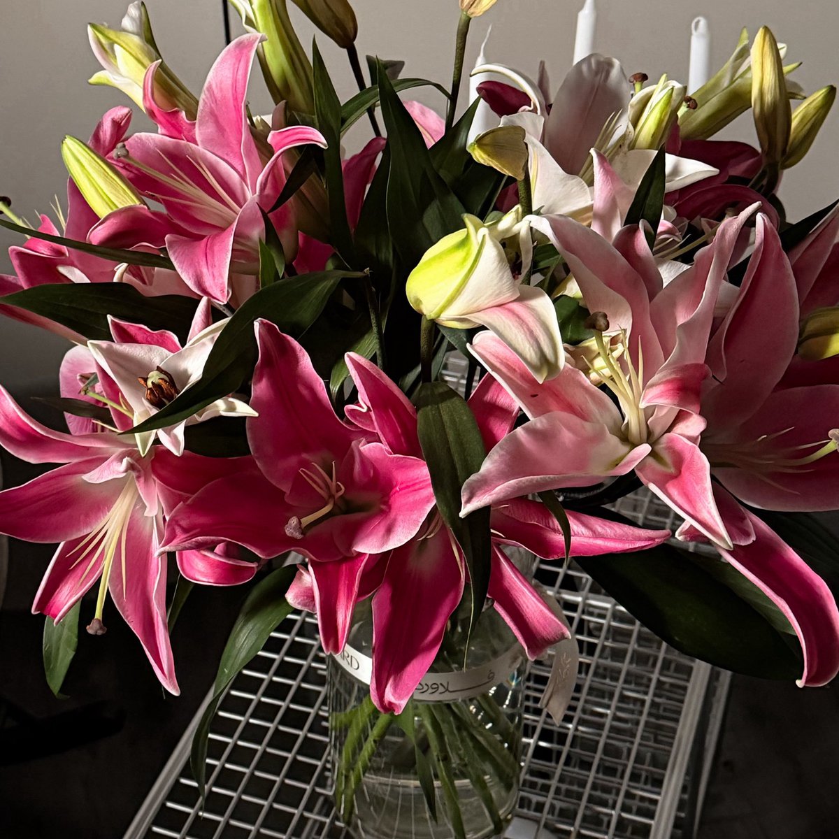 1leio's tweet image. 