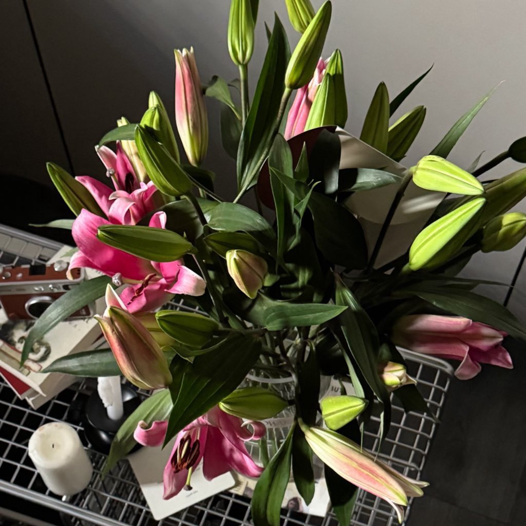 1leio's tweet image. 