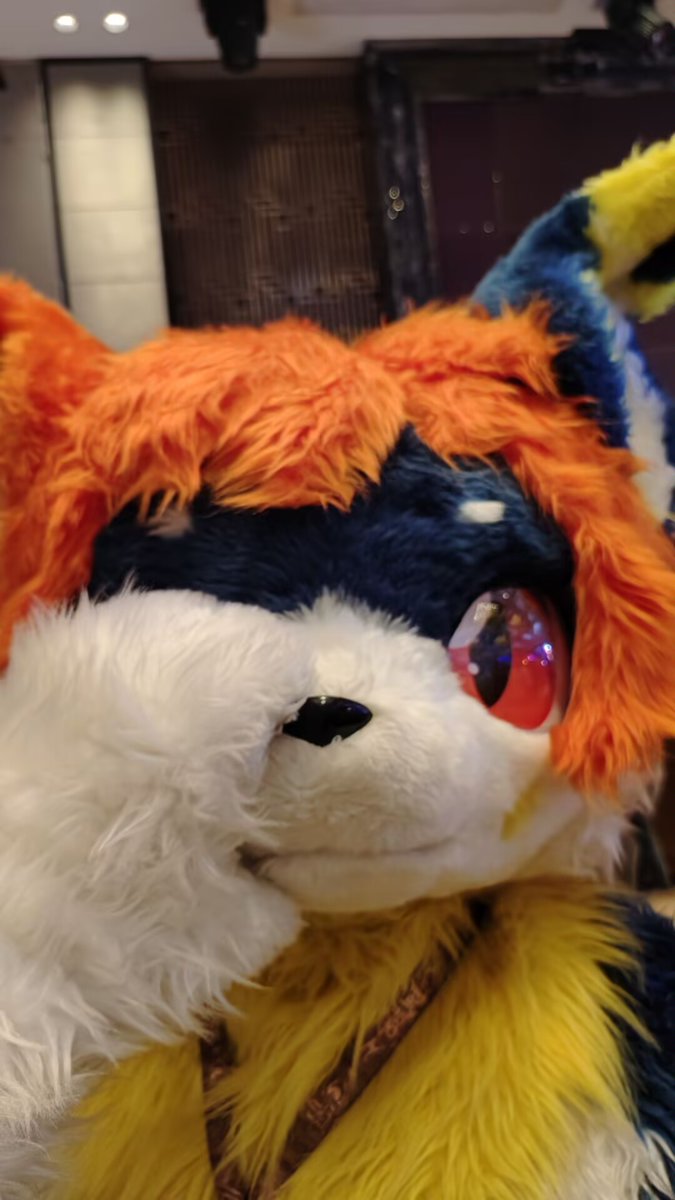 #FursuitSunday 十一月对我好一点