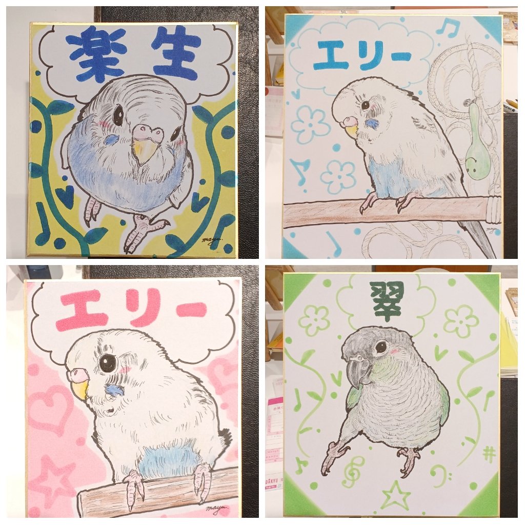 まゆのページ まゆイヌ on X