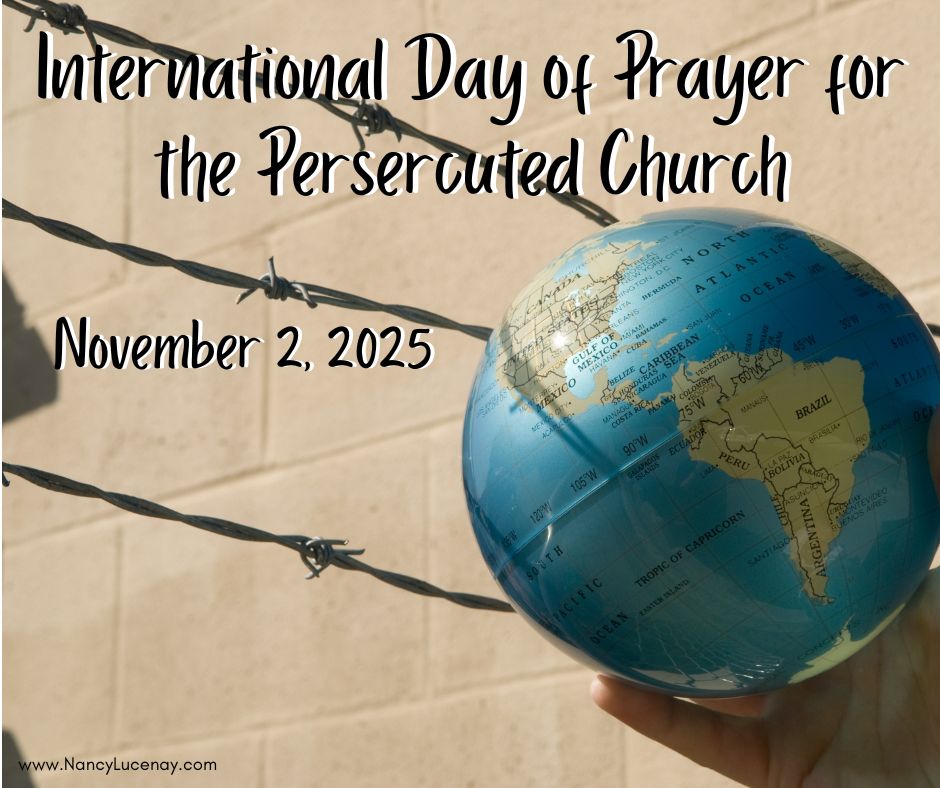 NancyLucenay's tweet image. Lord Jesus, we lift up our brothers and sisters who suffer for your name. Strengthen their faith when fear surrounds them. Remind them that they are not forgotten. #PrayForThePersecuted #FaithInAction #PersecutedChurch